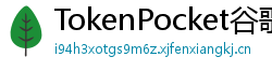 TokenPocket谷歌商店下载 - Google Play商店TokenPocket正版安装指南